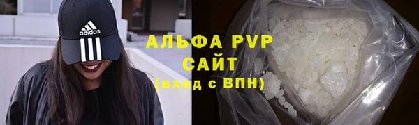 стафф Богородск