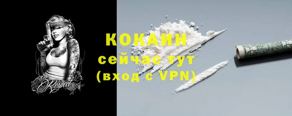 стафф Богородск