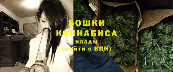 стафф Богородск